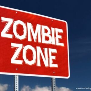 Wat zijn zombiebedrijven door Tony de Bree