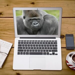 Wat is bokito management - Macbook - Tony de Bree