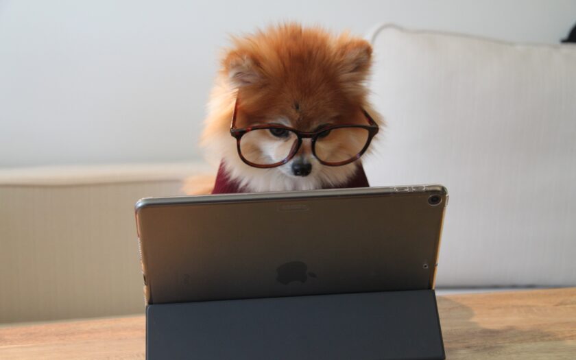 Wat is mobiel leren door Tony de Bree